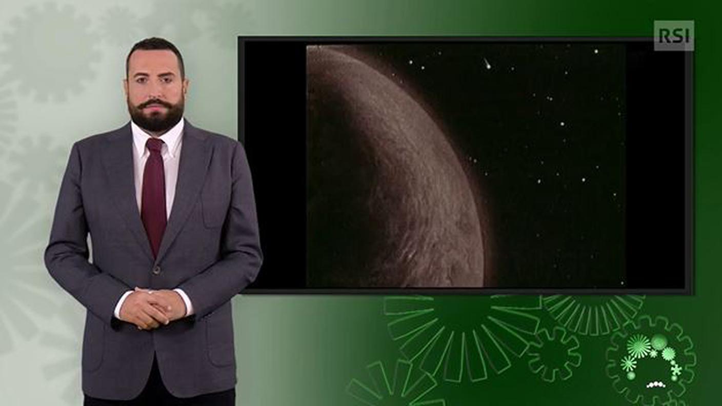 Luca Marra, interprete lingua dei segni