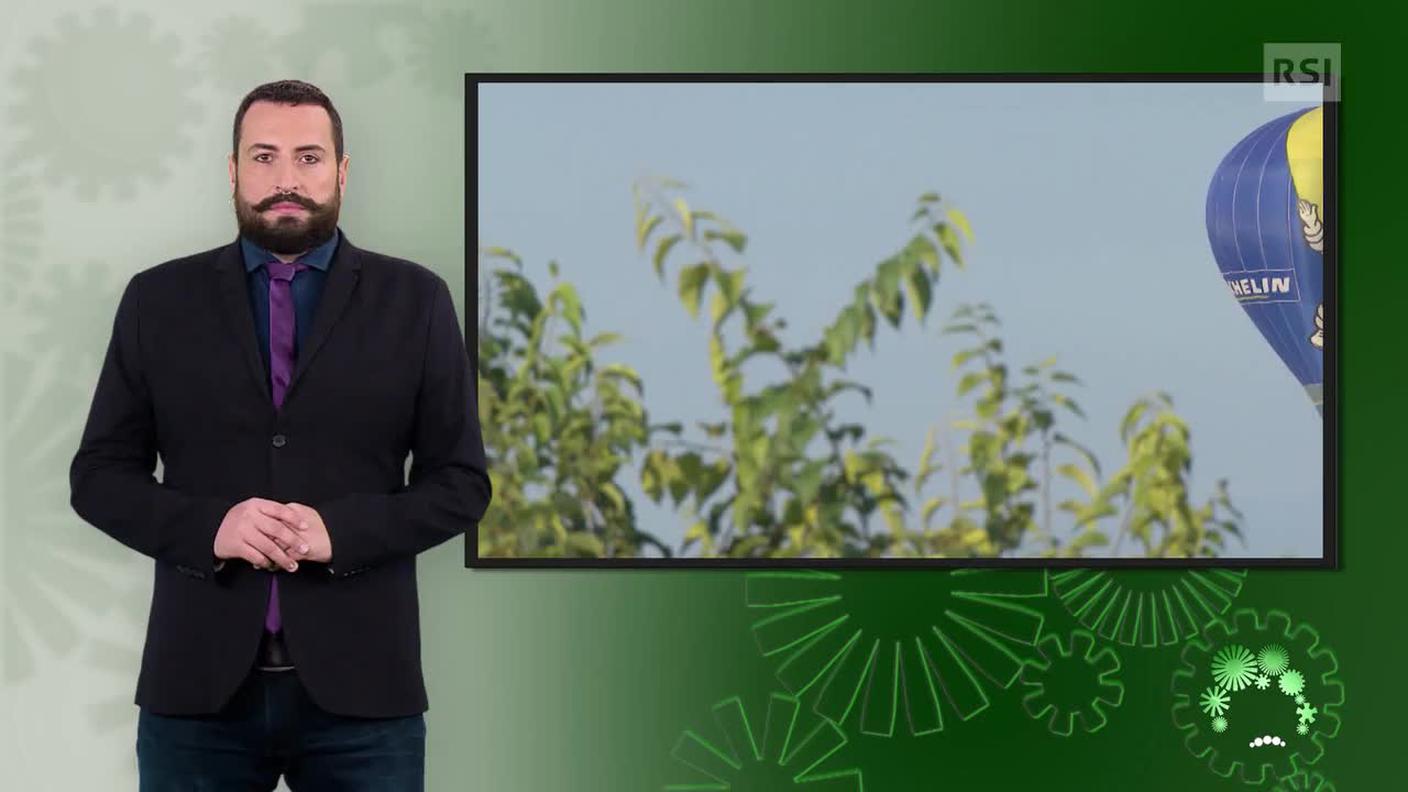 Luca Marra, interprete lingua dei segni