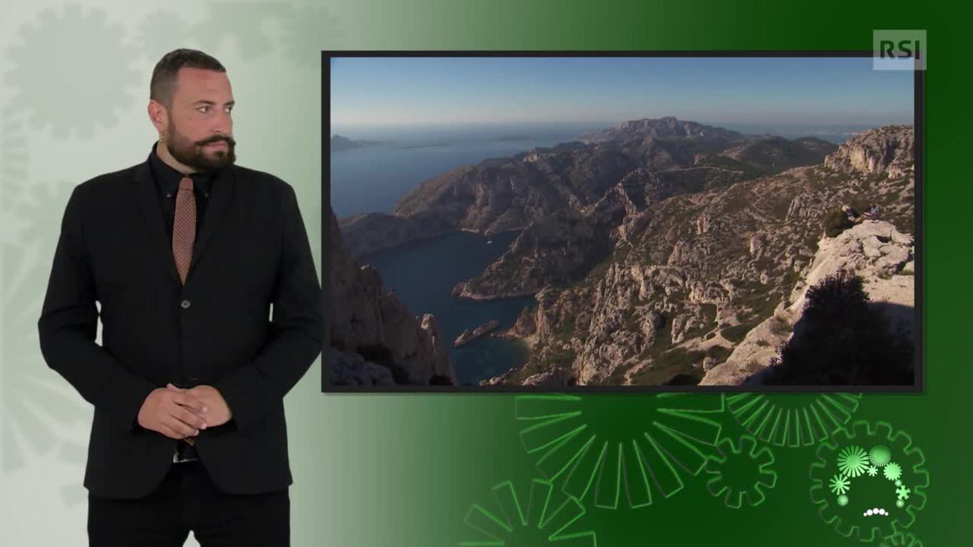 Luca Marra, interprete lingua dei segni