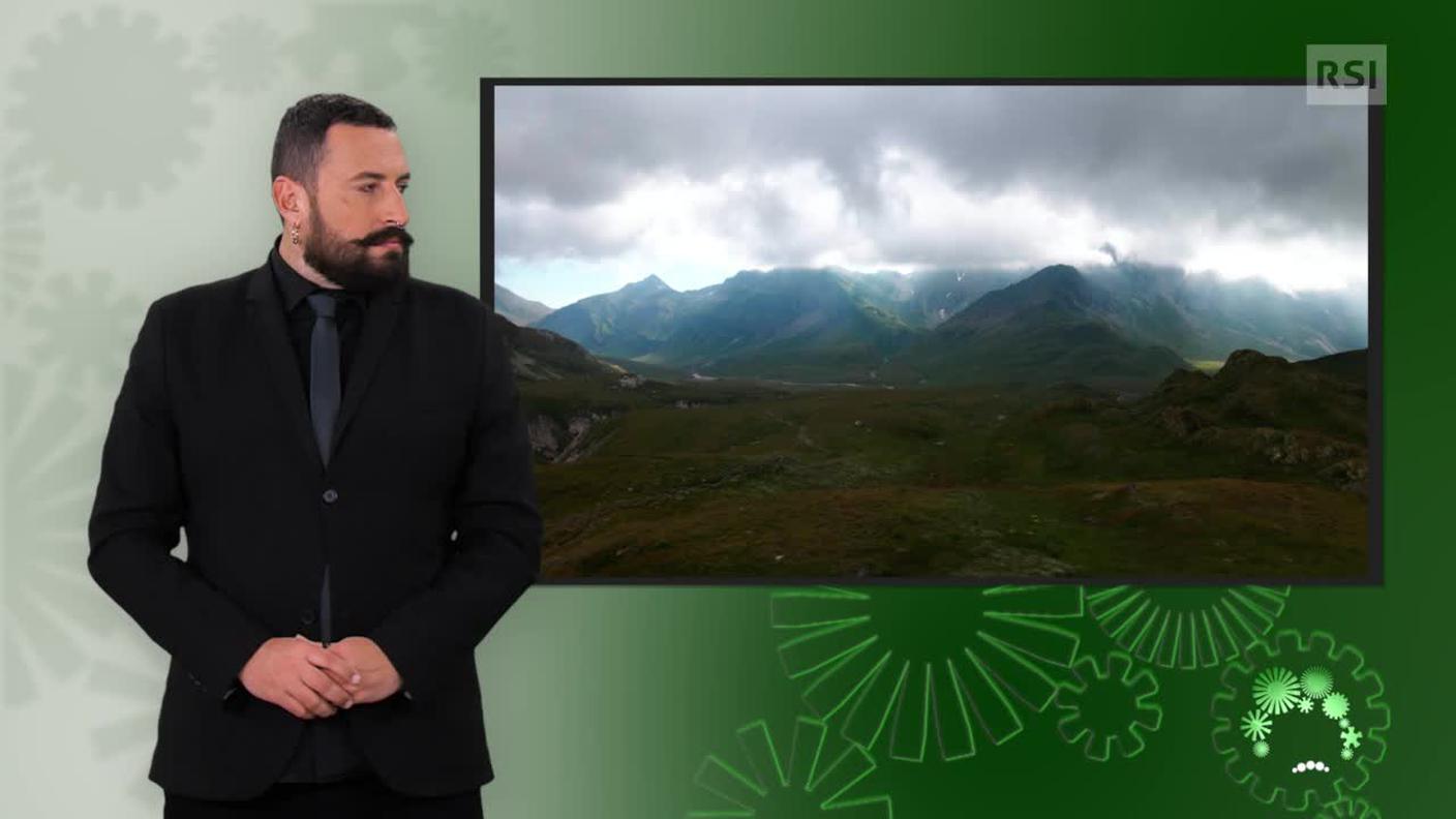 Luca Marra, interprete lingua dei segni
