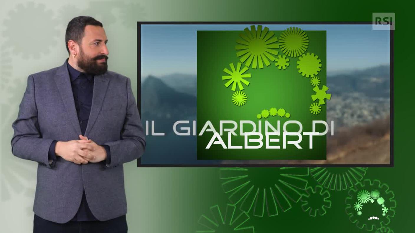 Luca Marra, interprete lingua dei segni