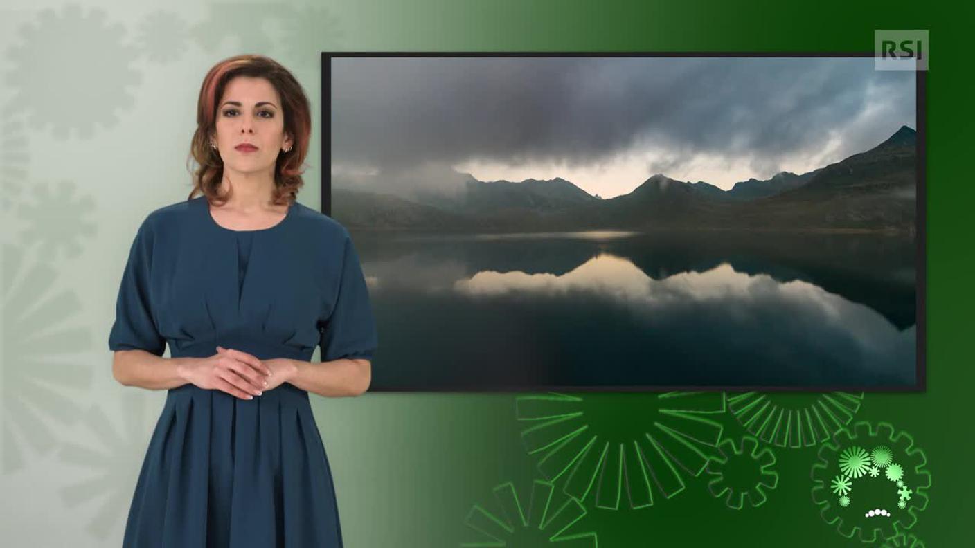 Sonia Serdonio, interprete lingua dei segni