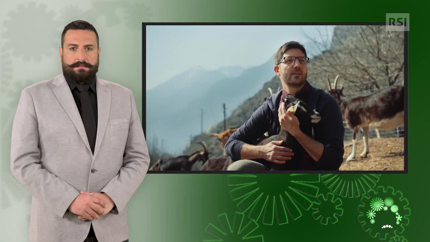 Luca Marra, interprete lingua dei segni