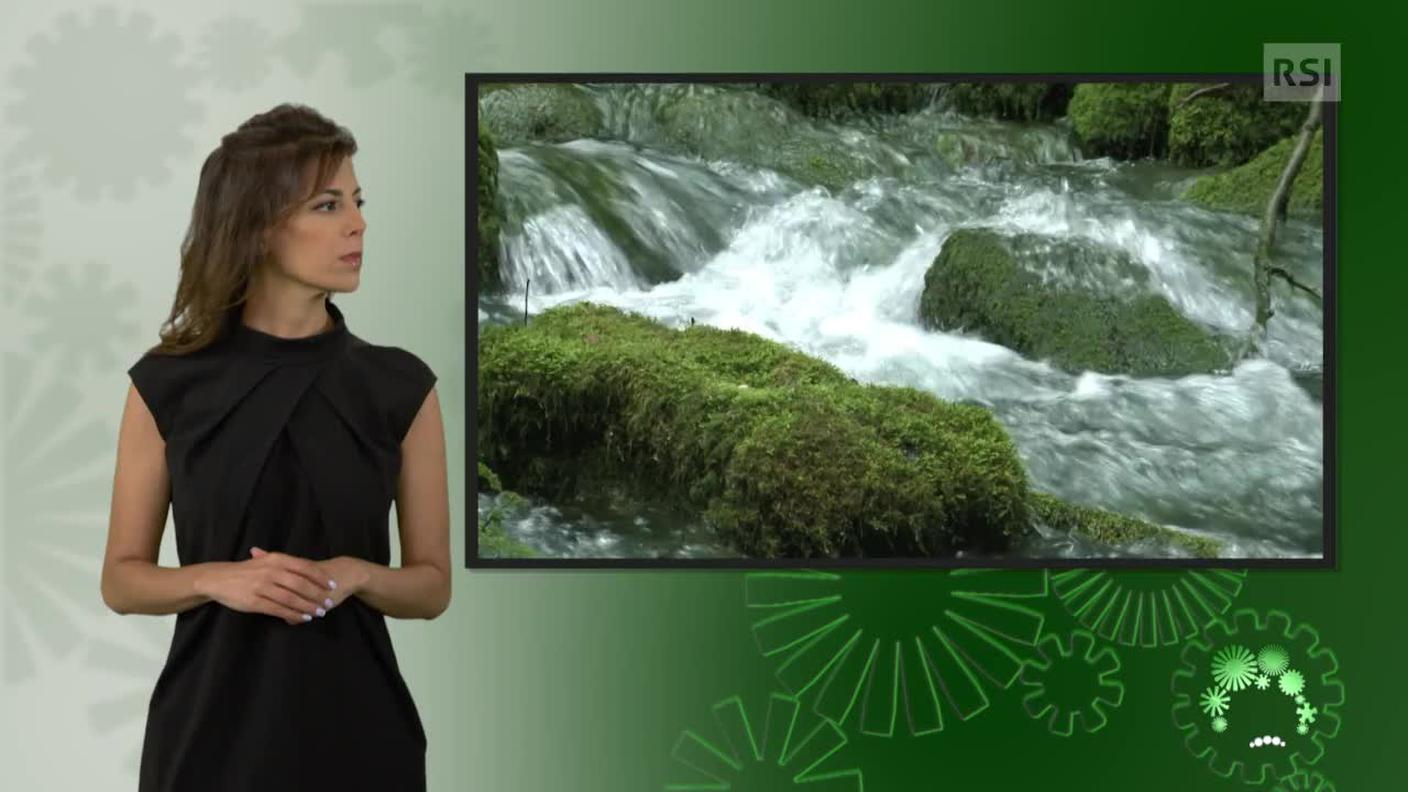 Sonia Serdonio, interprete lingua dei segni