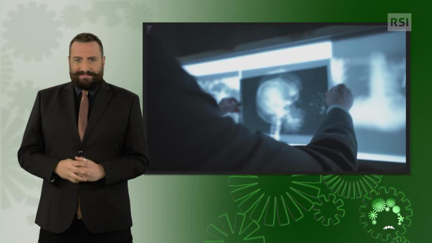 Luca Marra, interprete lingua dei segni