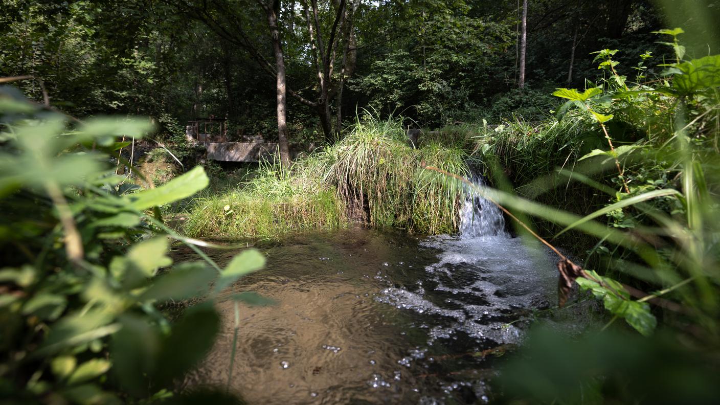 Parco Valle della Motta, storia e natura