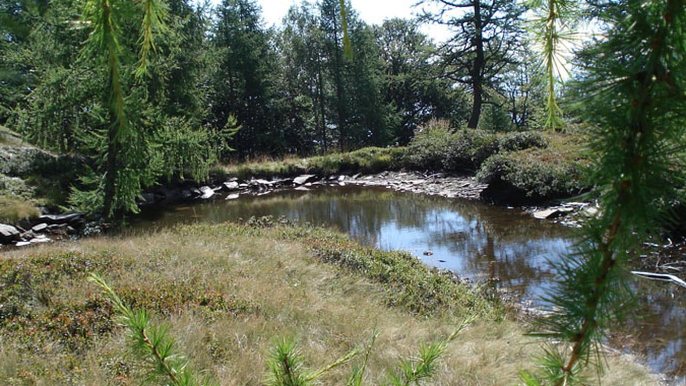 biodiversita