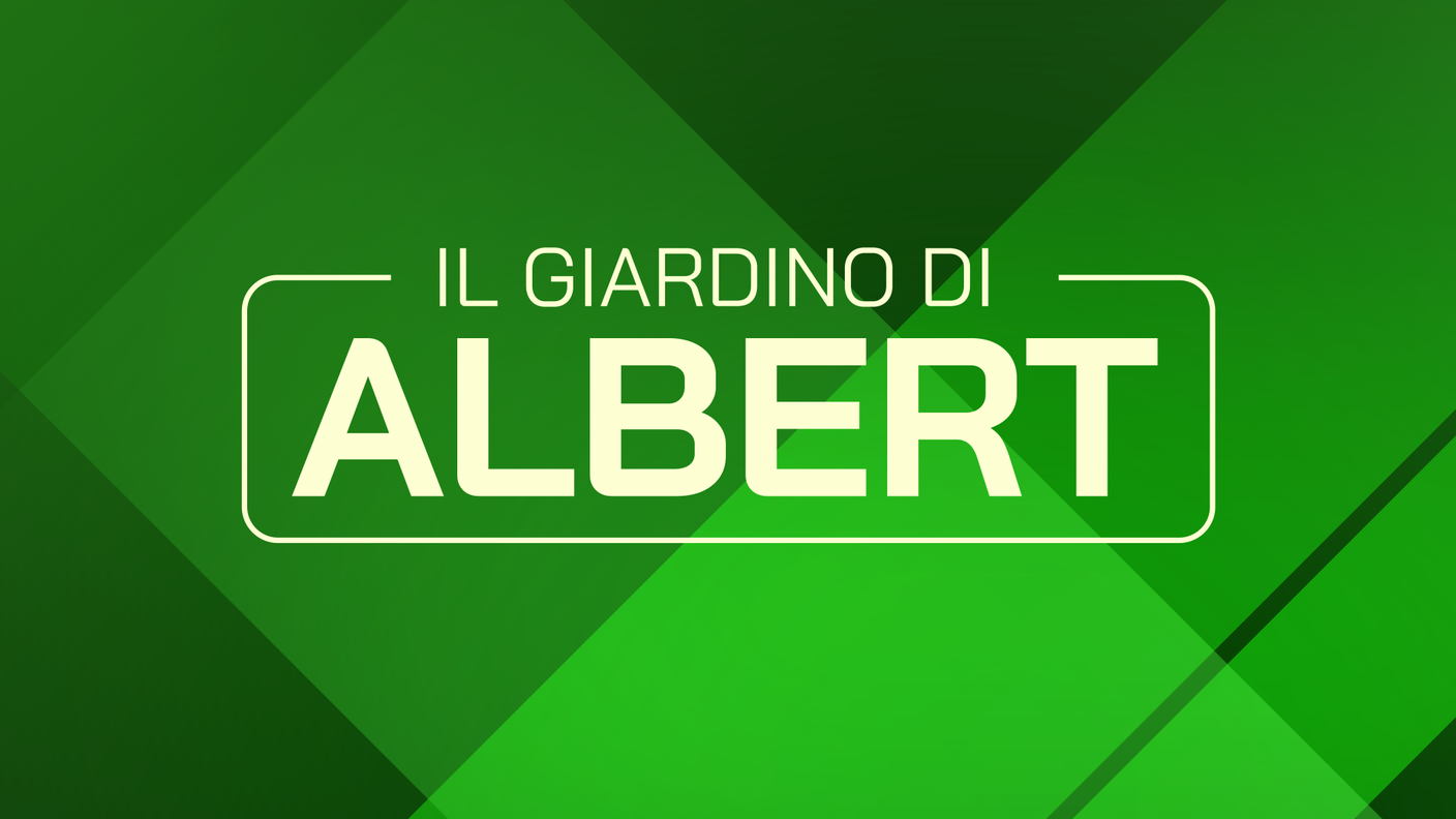 16x9-giardino_di_albert 