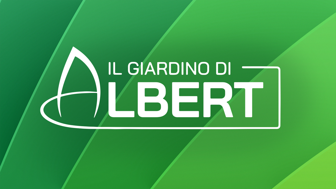 16:9 Il giardino di Albert