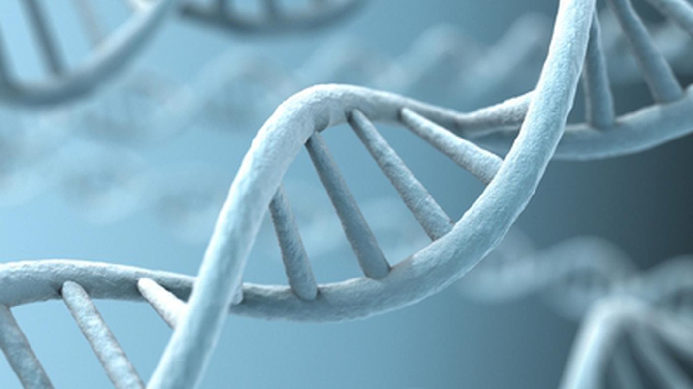 dna.jpg