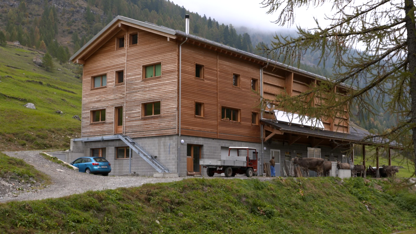 Insieme - Aiuto Svizzero Regioni Montagna