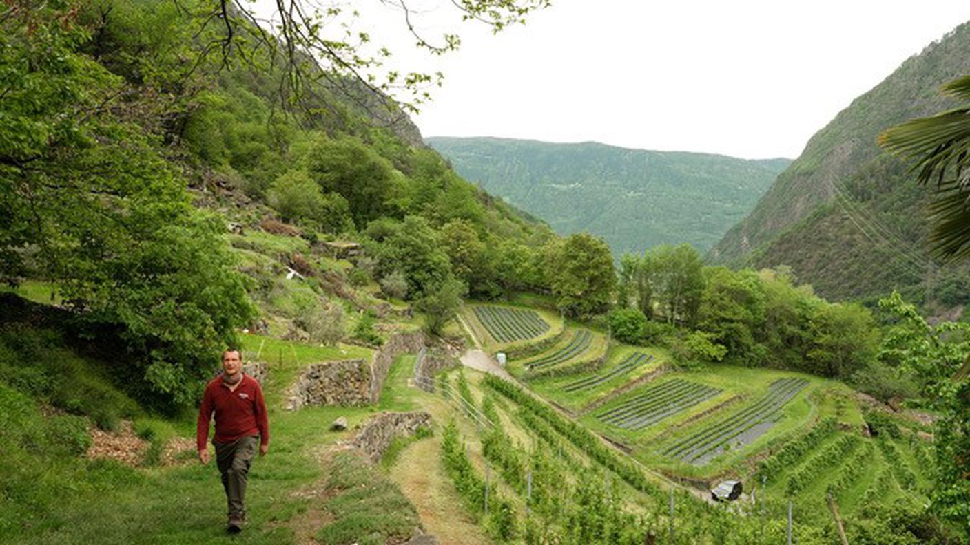 Aiuto svizzero alla montagna