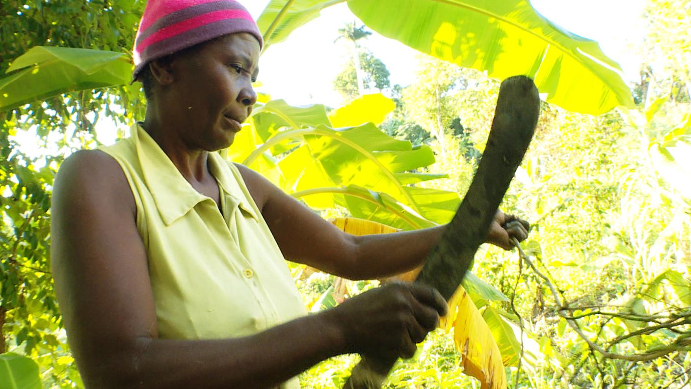 Catena Haiti