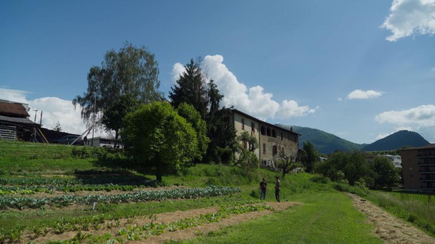 Associazione Il Gemmo