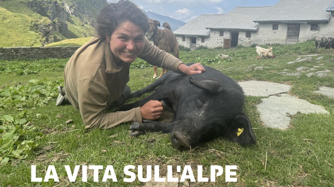 16:9 La vita sull'alpe