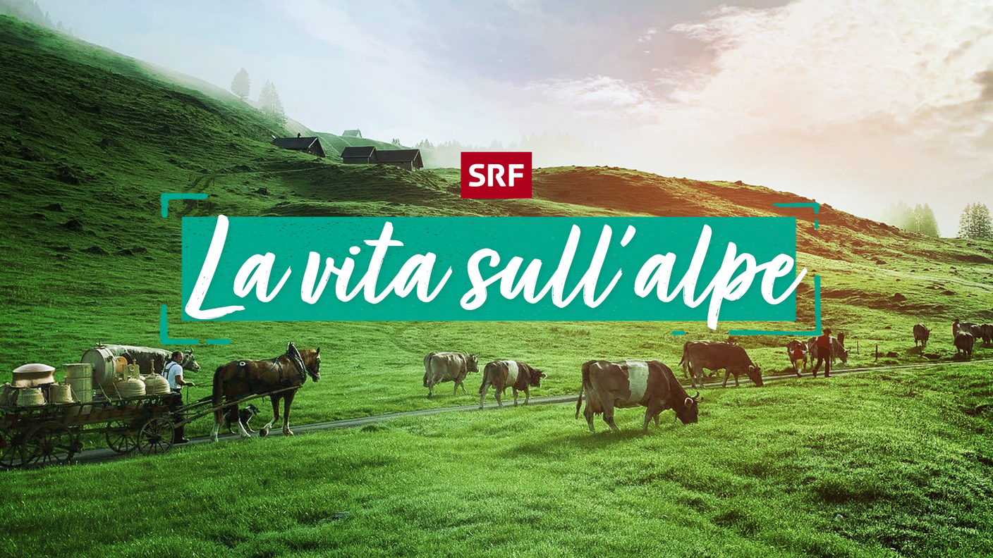 16:9 La vita sull’alpe