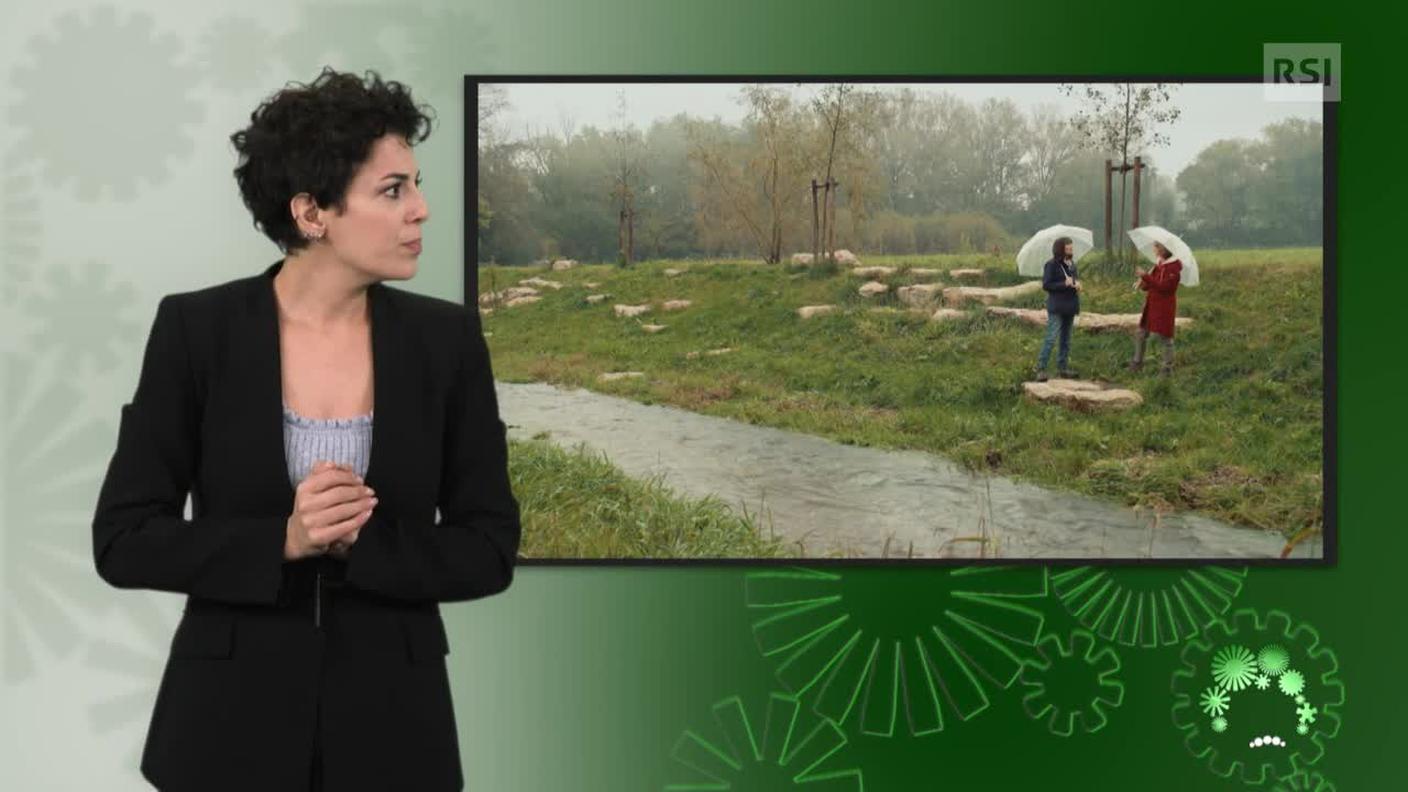 Sonia Serdonio, interprete lingua dei segni