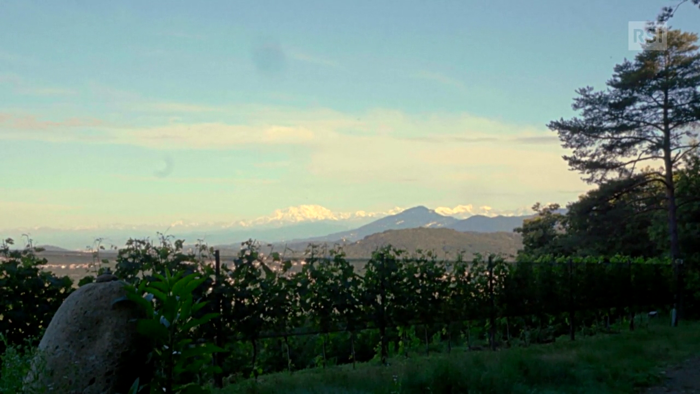 Ticino Trail