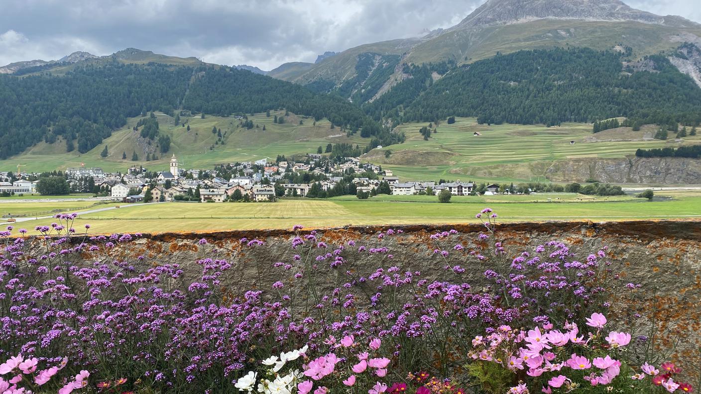 ENGADINA.jpg