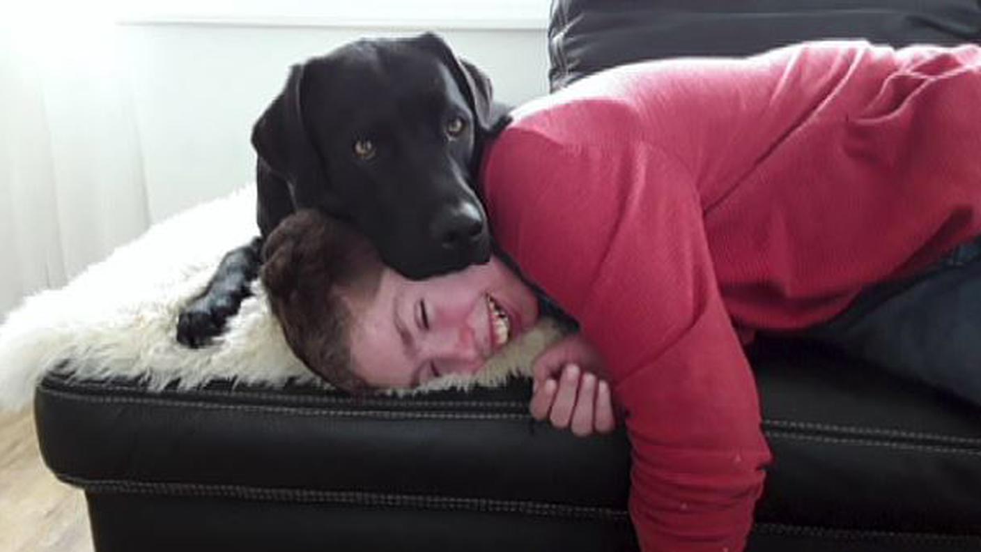 Falò Pet therapy