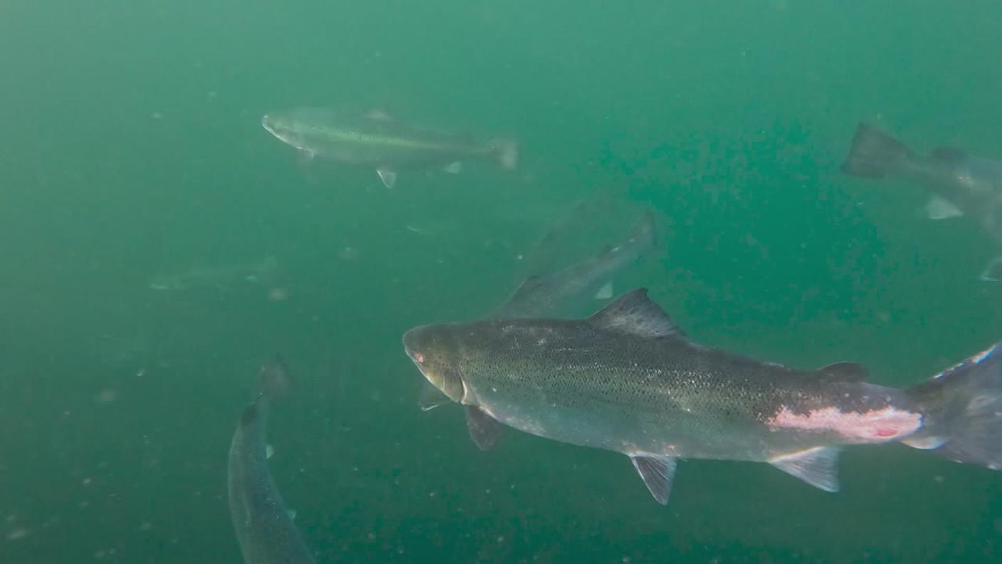 5000_347573fc1bd6e8837ae117b9d3b26cb9