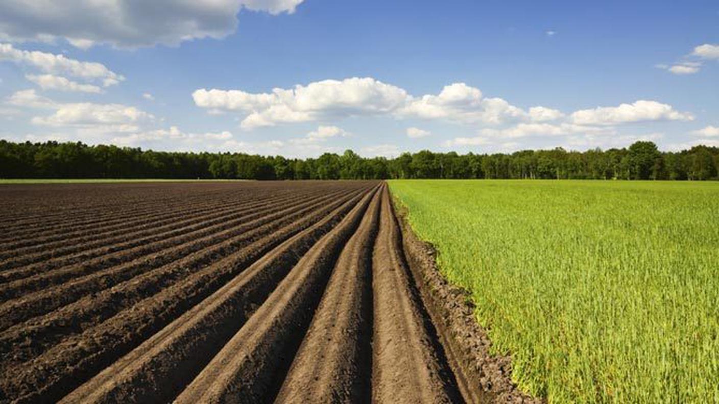 Dall'anno 2000 la superficie coltivabile si è ridotta di 33'000 ettari