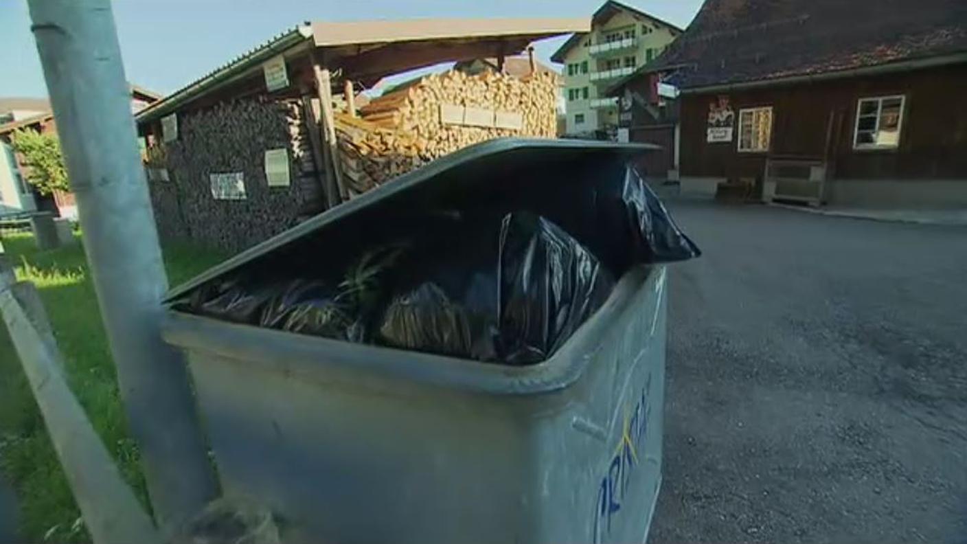 tassa sul sacco