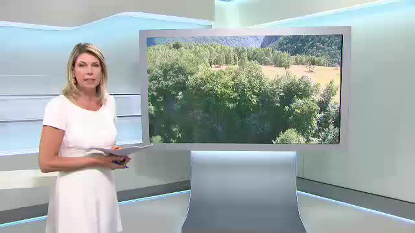 IL QUOTIDIANO  [La1] 2015-07-30 19:30:00