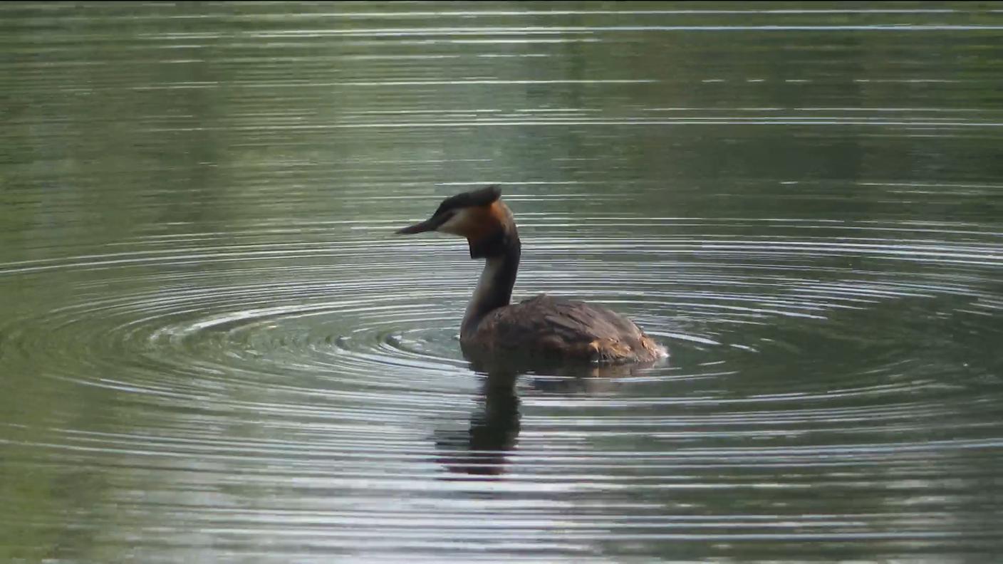 la1_1684949780862_8fd8d2c5d346b84e43a74d95985324c7