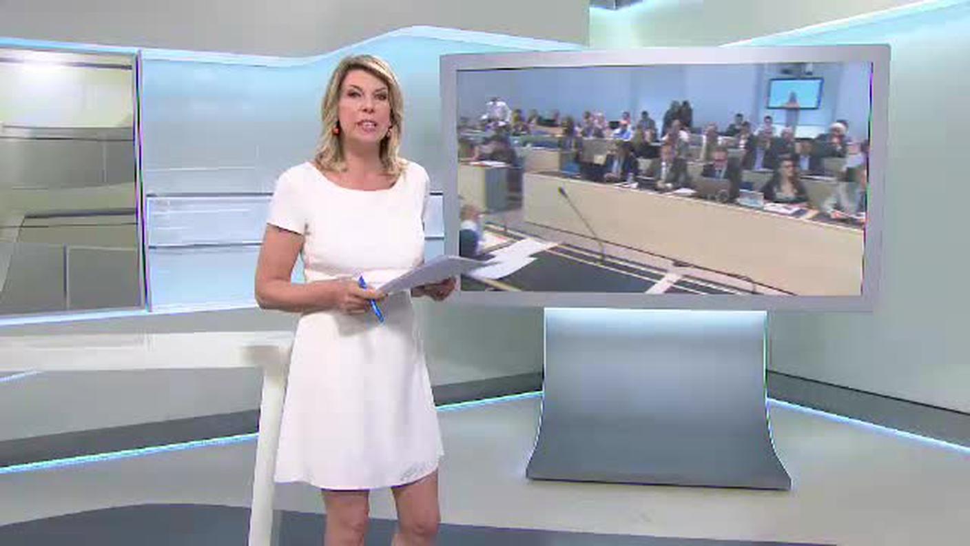IL QUOTIDIANO  [La1] 2015-06-24 19:30:00