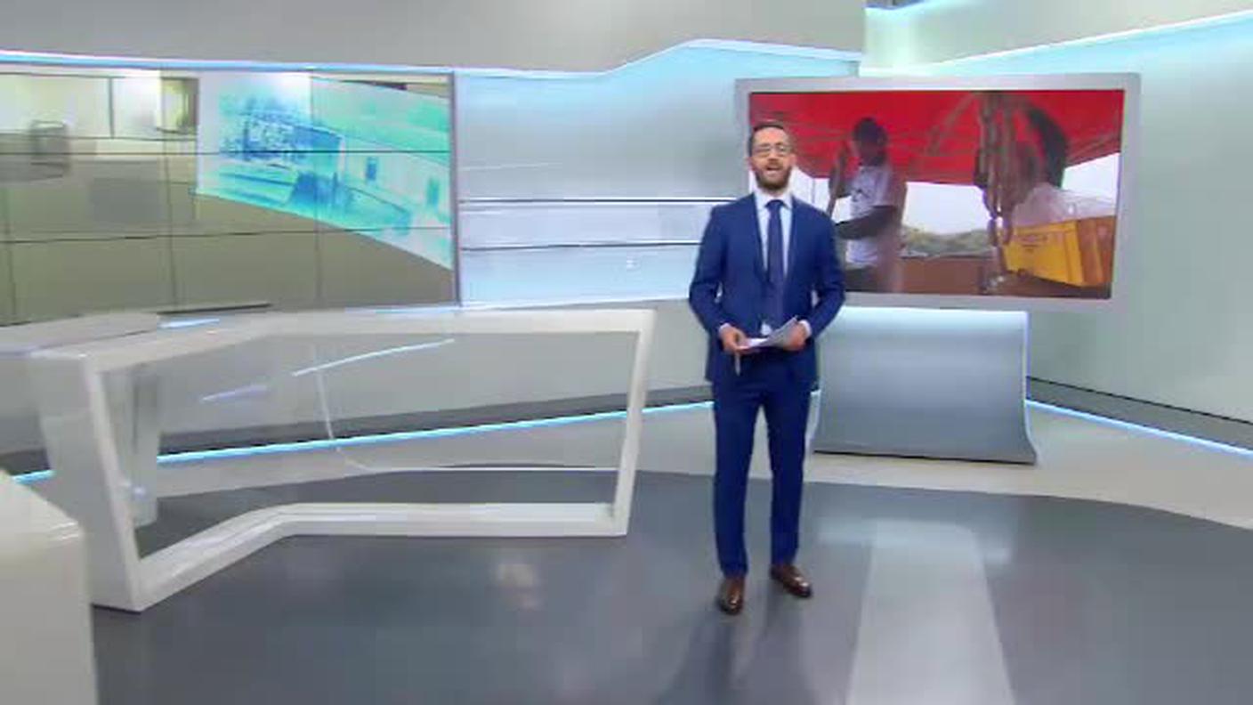 IL QUOTIDIANO  [La1] 2015-08-23 19:35:00