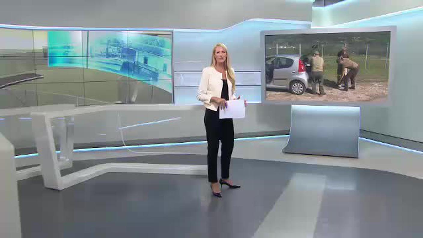 IL QUOTIDIANO  [La1] 2015-08-30 19:35:00