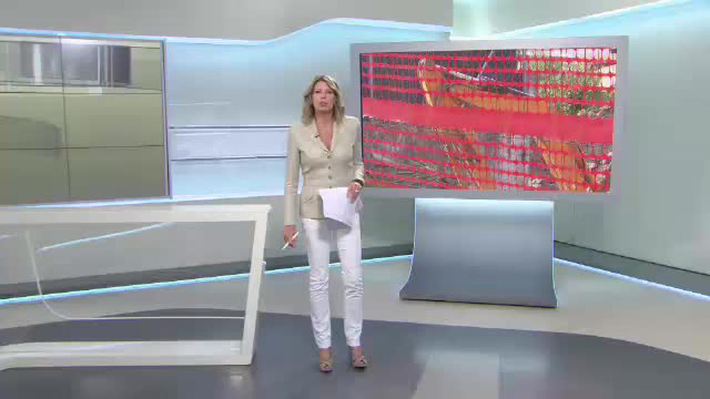 IL QUOTIDIANO  [La1] 2015-09-29 19:00:11