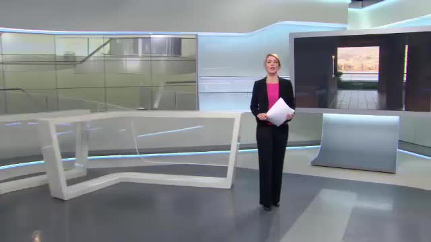 IL QUOTIDIANO  [La1] 2015-12-11 19:00:11
