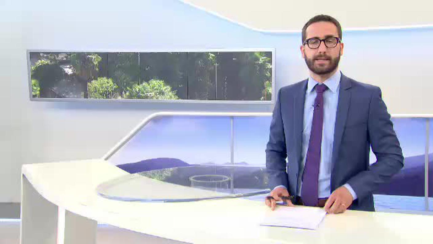  IL QUOTIDIANO  [La1] 2016-08-15 19:31:00