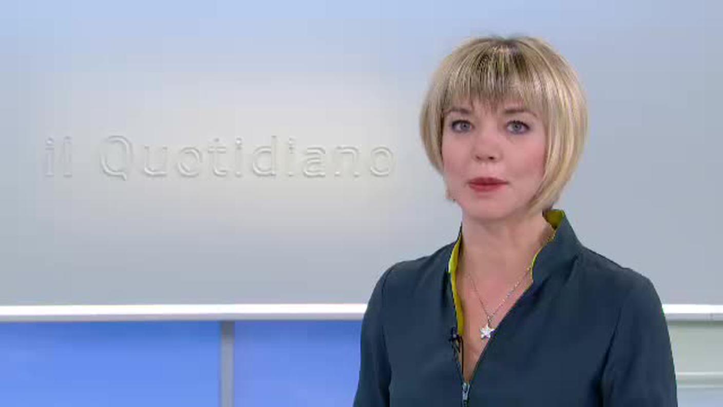  IL QUOTIDIANO  [La1] 2016-12-29 19:00:11
