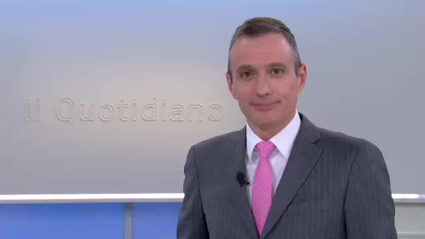  IL QUOTIDIANO LU-VE  [La1] 2017-01-17 19:00:11