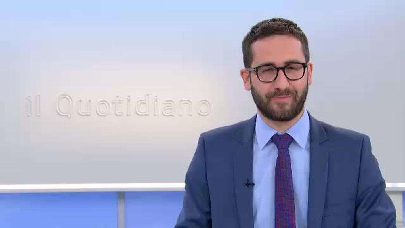  IL QUOTIDIANO LU-VE  [La1] 2017-11-17 19:00:11