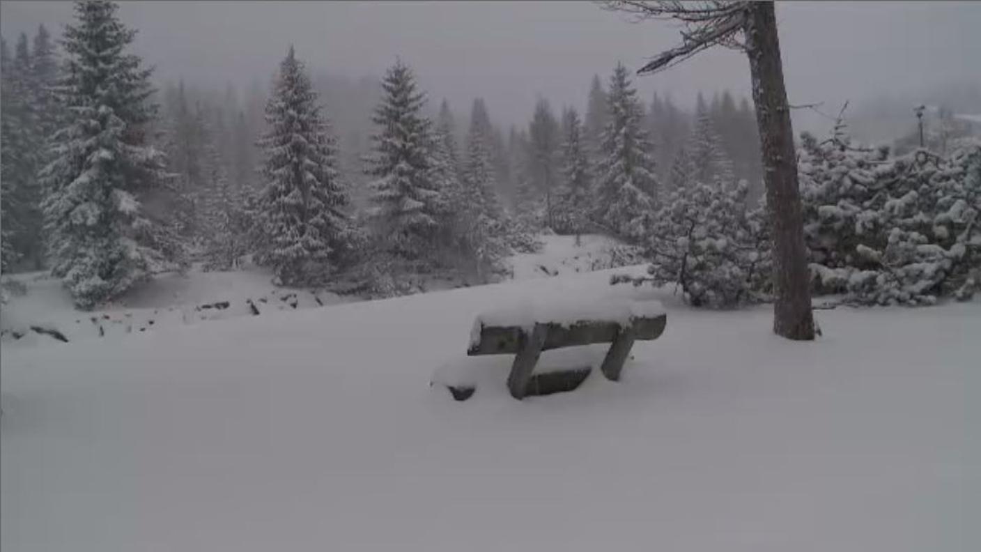 neve.JPG