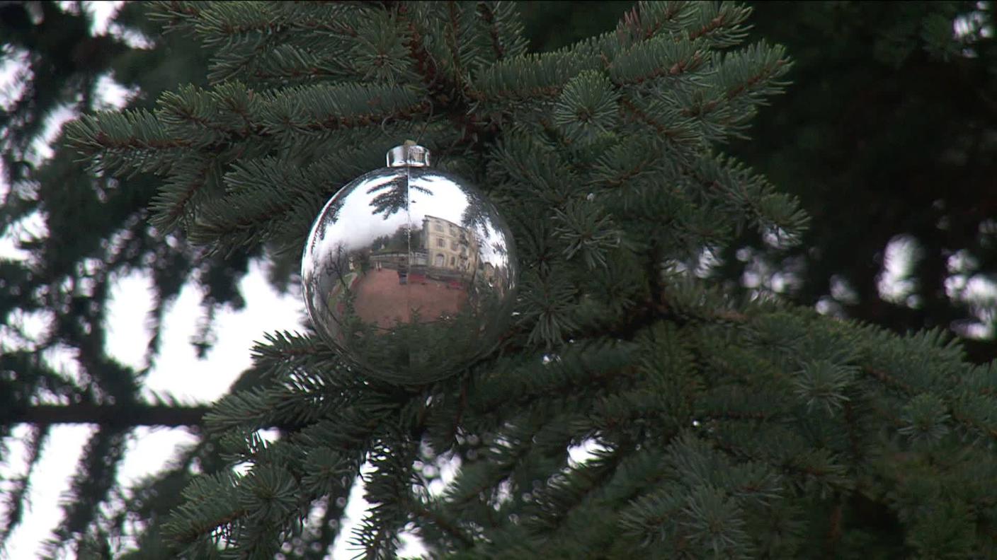 albero di Natale.jpg