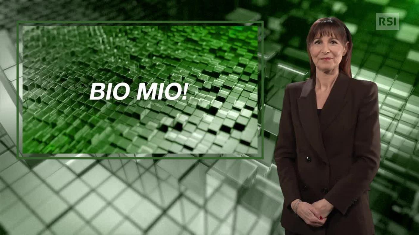 Giancarla Calitri, interprete lingua dei segni