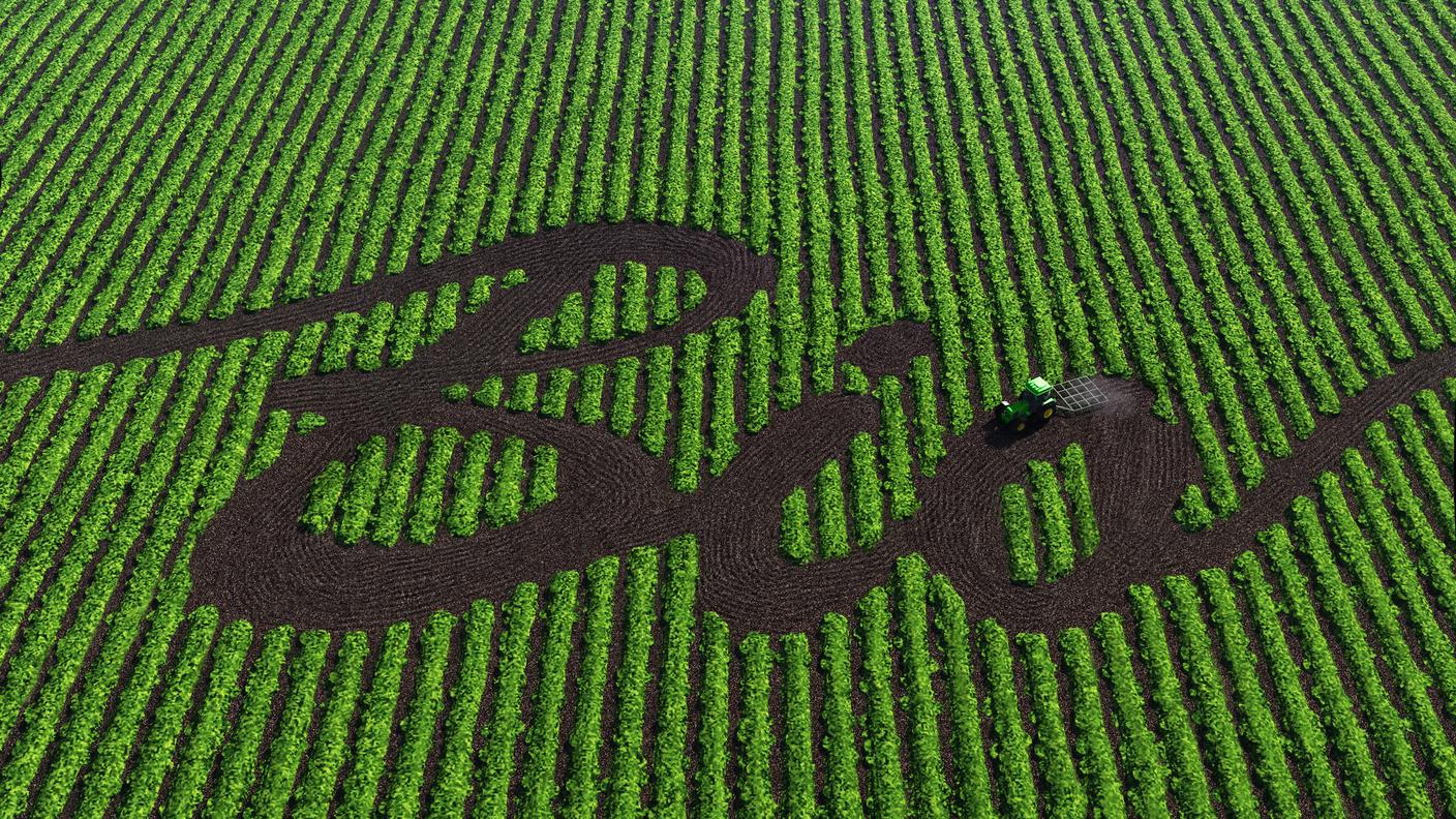 Bio campo