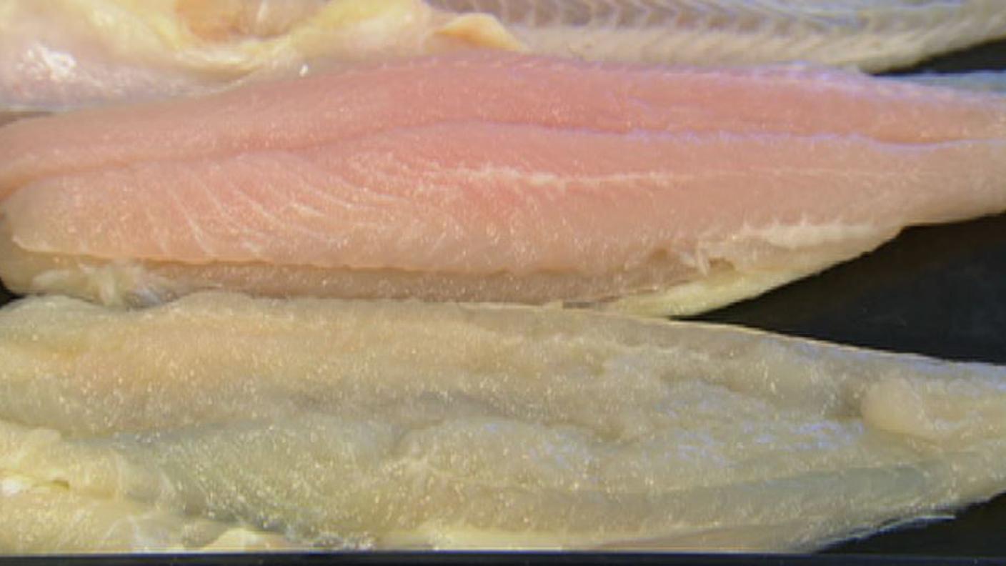 pesce gonfiato d'acqua