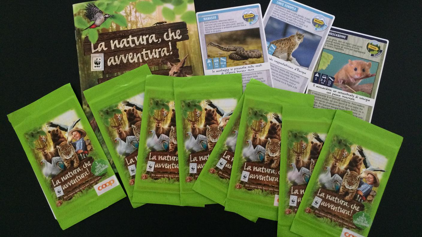 Card coop La natura che avventura