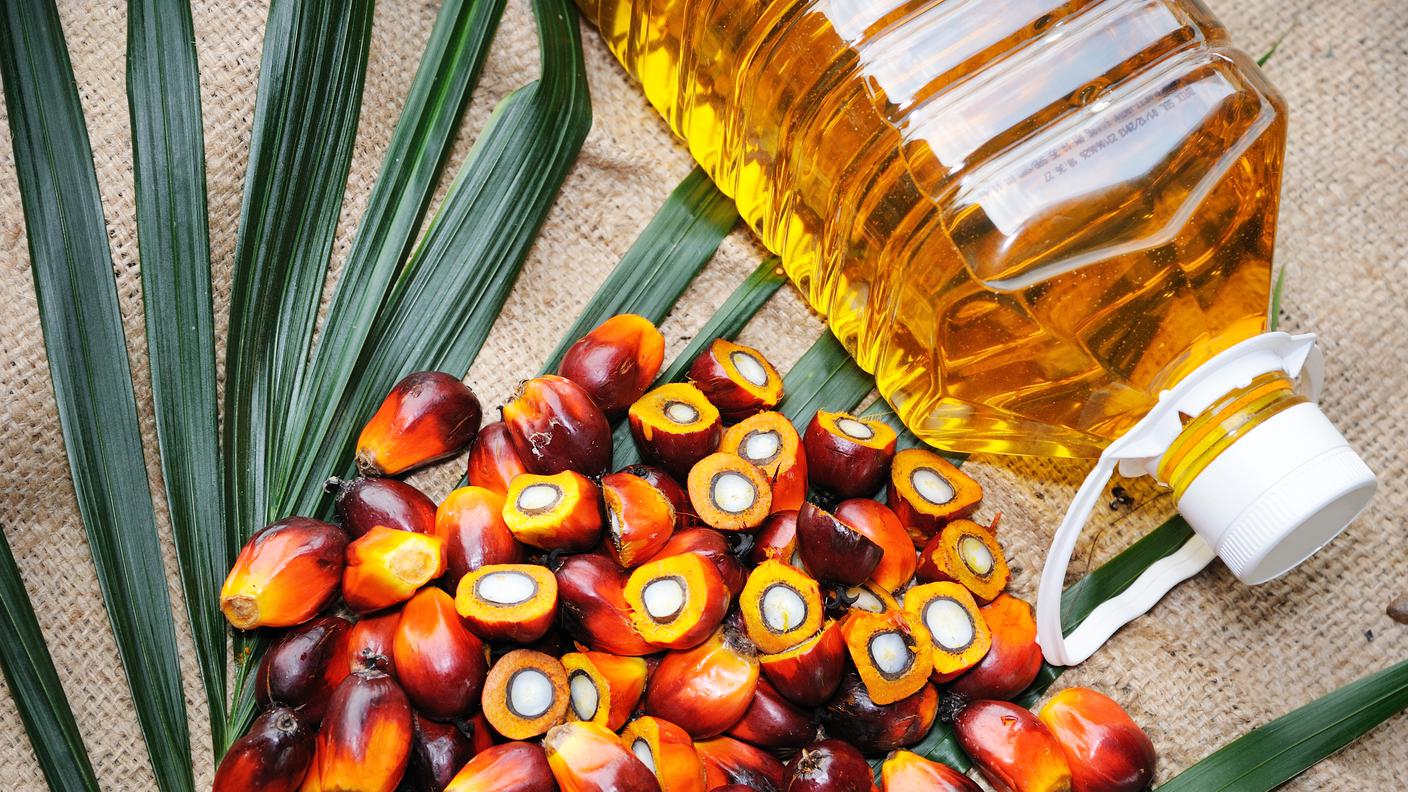iStock olio di palma