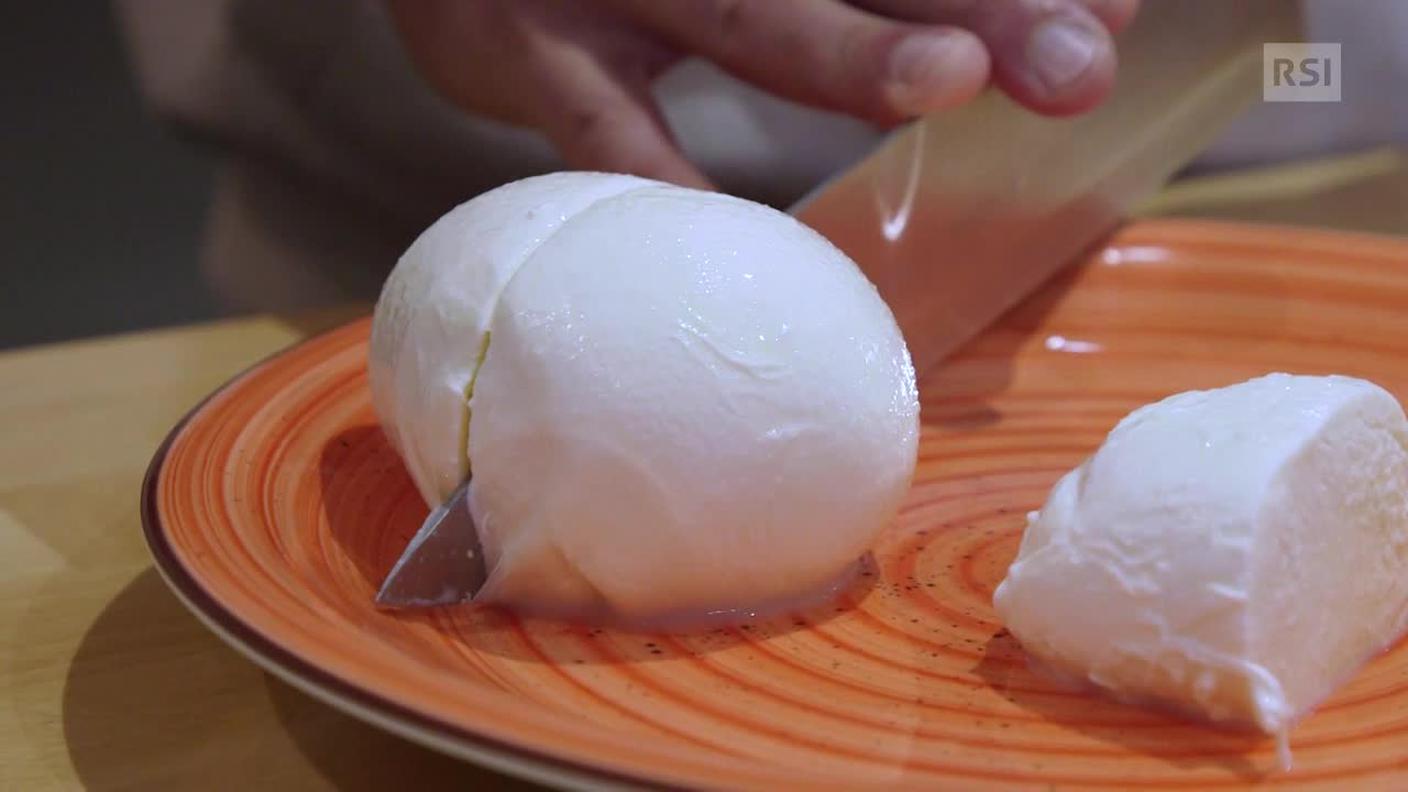 Mozzarella