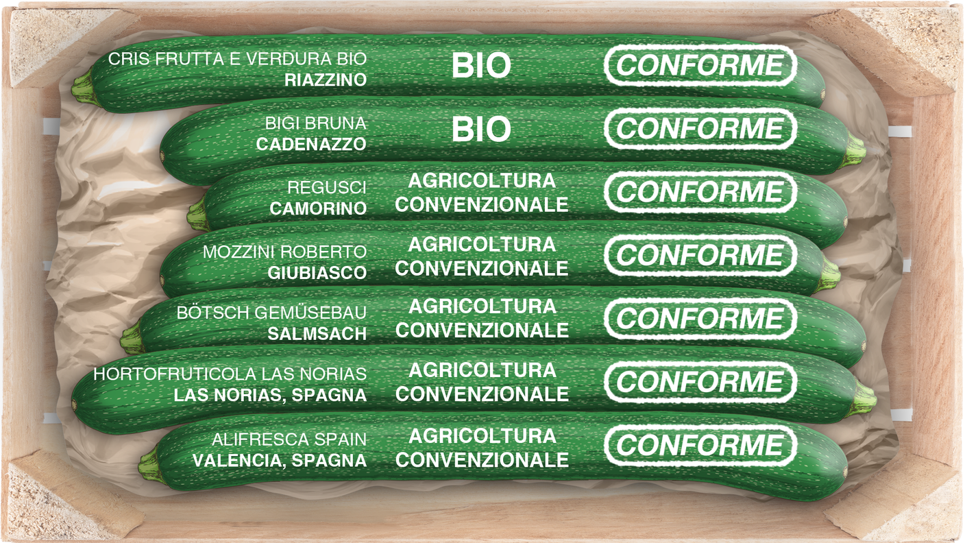 Risultato test zucchine pesticidi patti chiari 