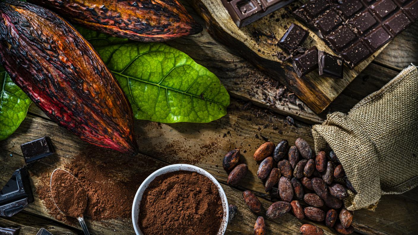 Cioccolato - fave di cacao - cacao in polvere.jpg
