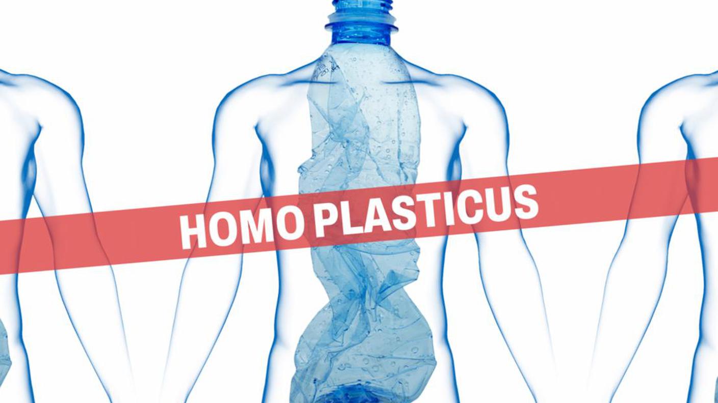 Homo plasticus