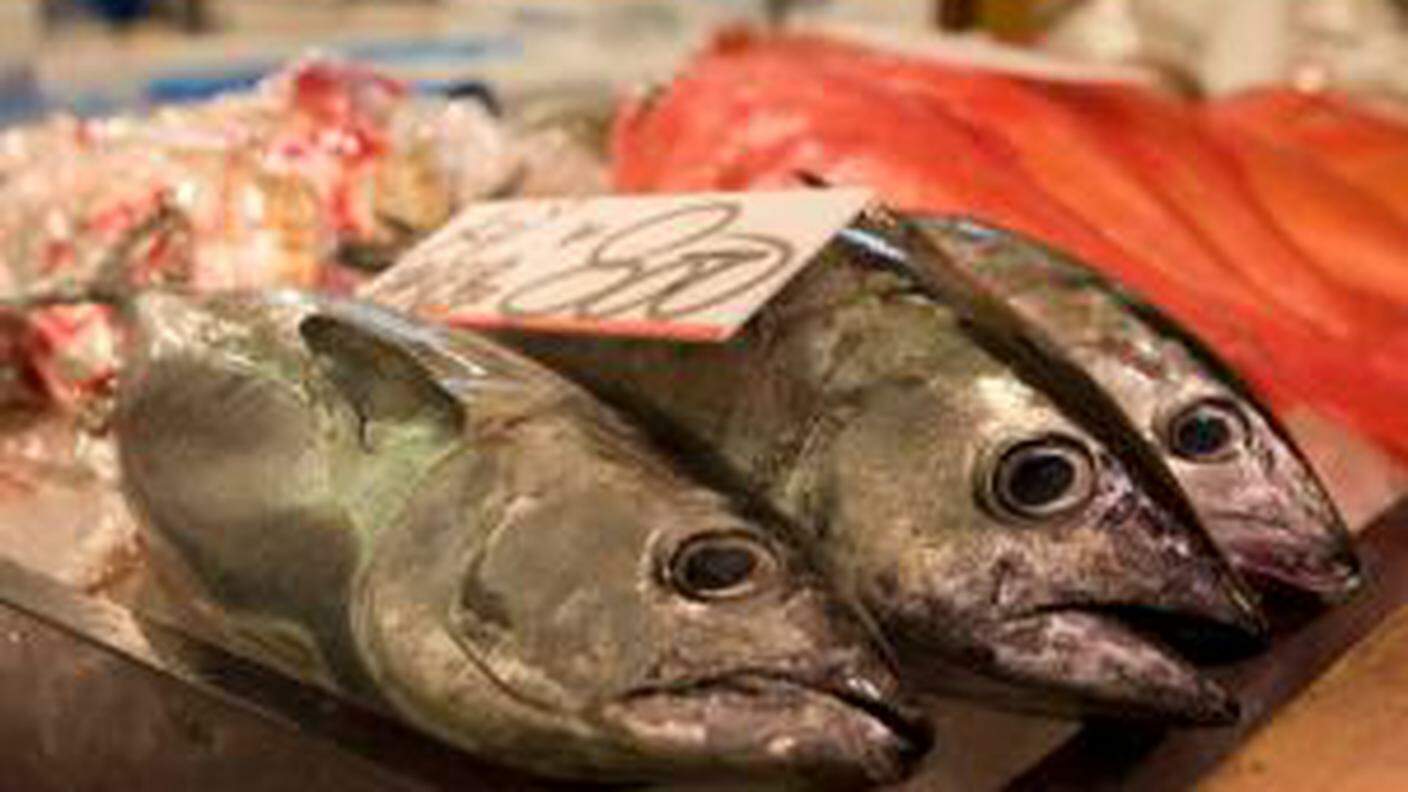 mercato del pesce.preview.jpg